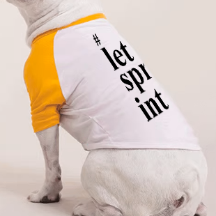 Roupas Pet